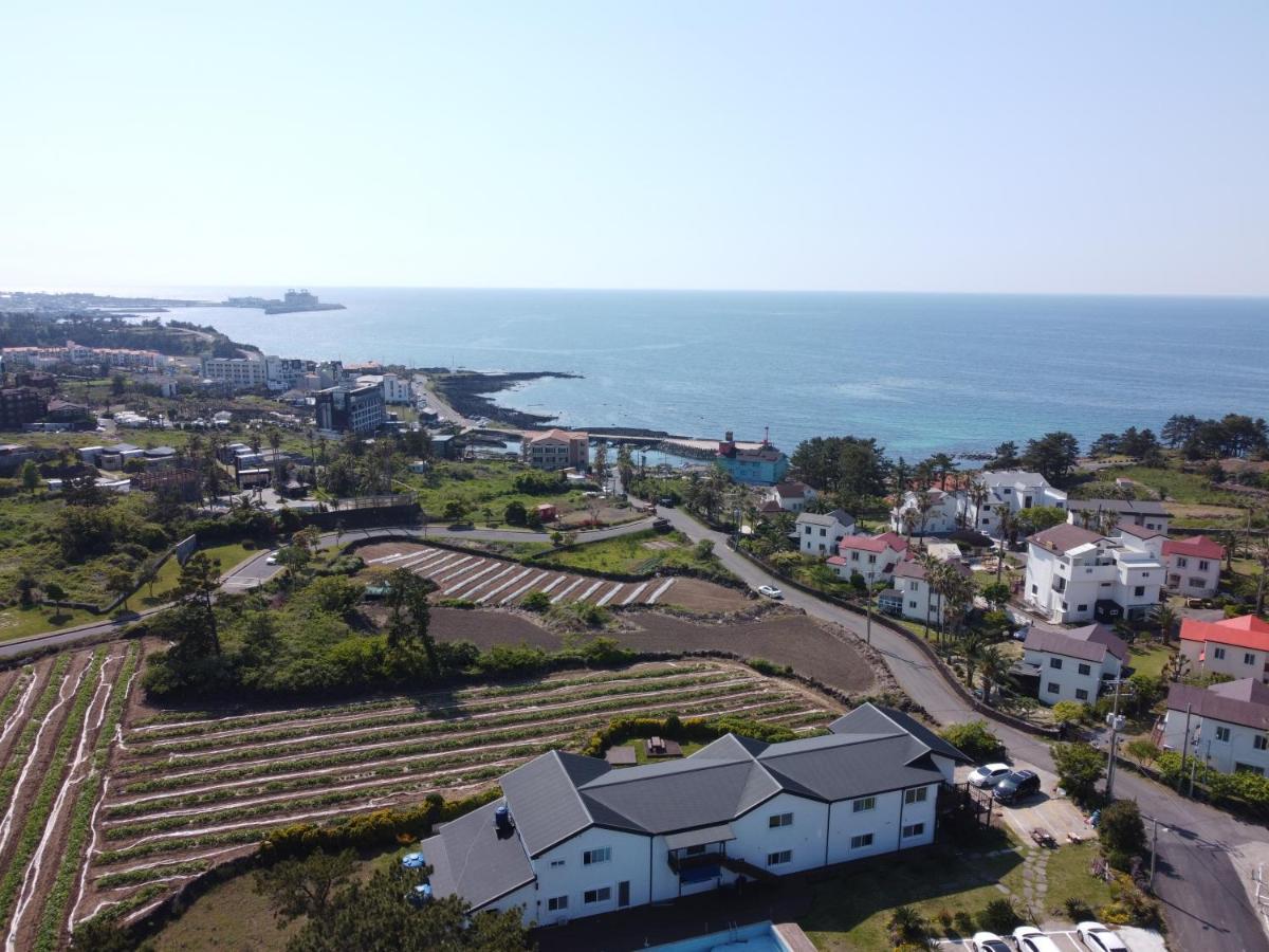 White Dream Pension Jeju Bagian luar foto