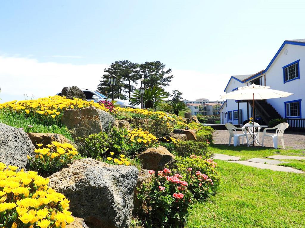 White Dream Pension Jeju Bagian luar foto