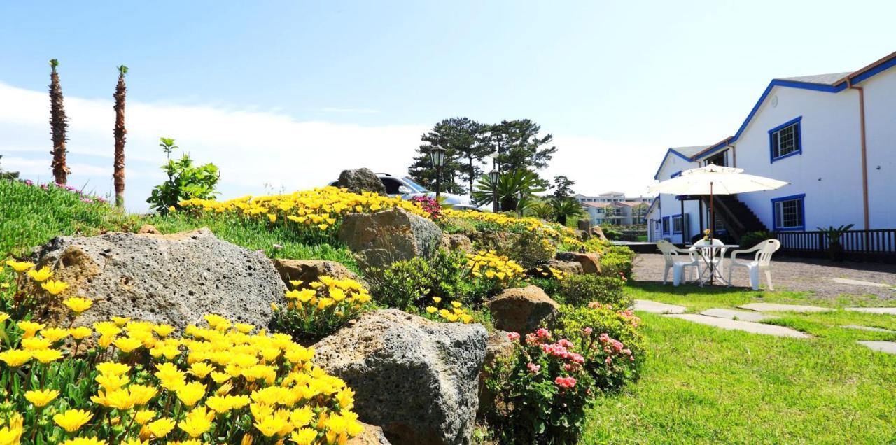 White Dream Pension Jeju Bagian luar foto
