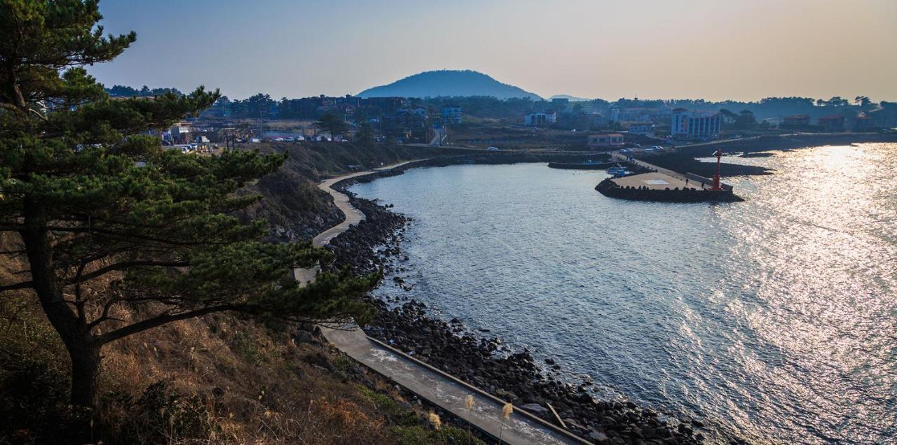 White Dream Pension Jeju Bagian luar foto